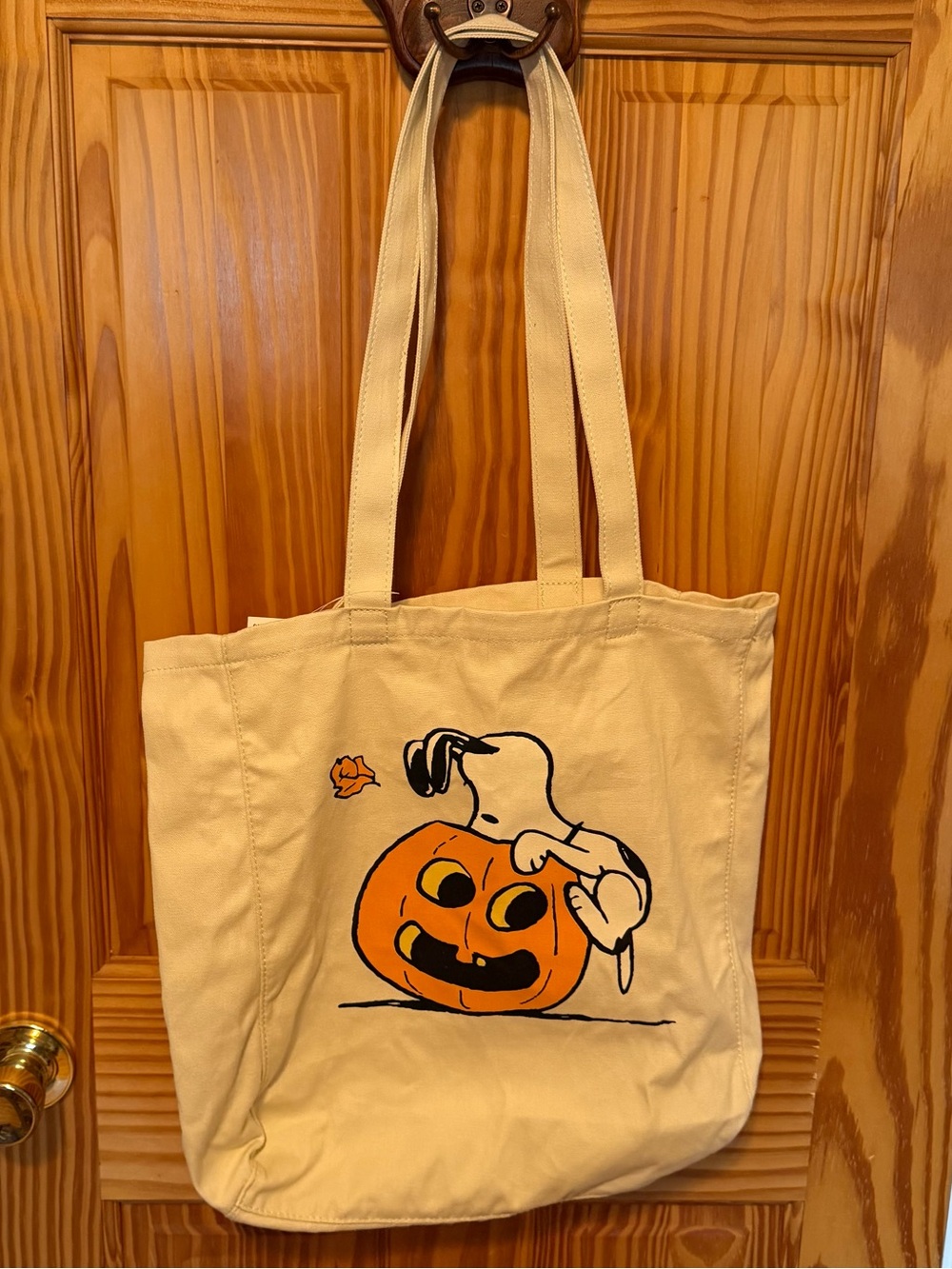 AE Snoopy Halloween Canvas Tote Bag. NWT